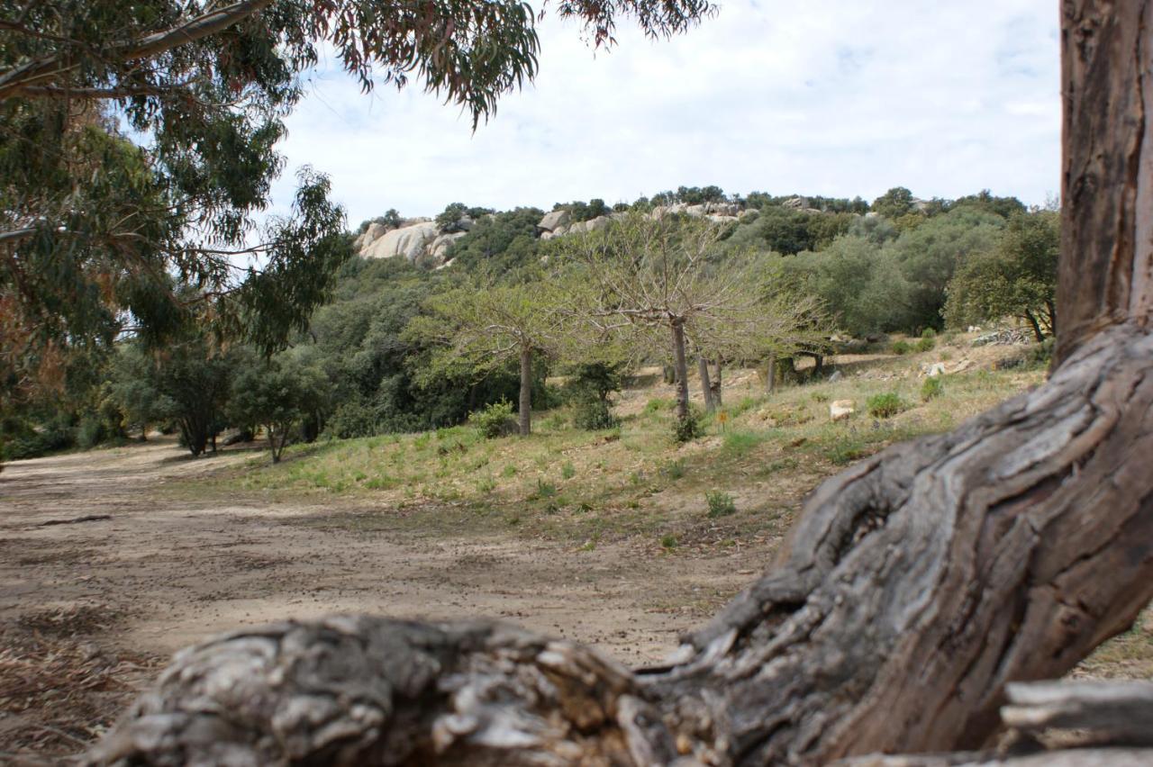 Belle Location Sur Lumio Avec Vue Remarquable Et Jardin Villa Exterior photo