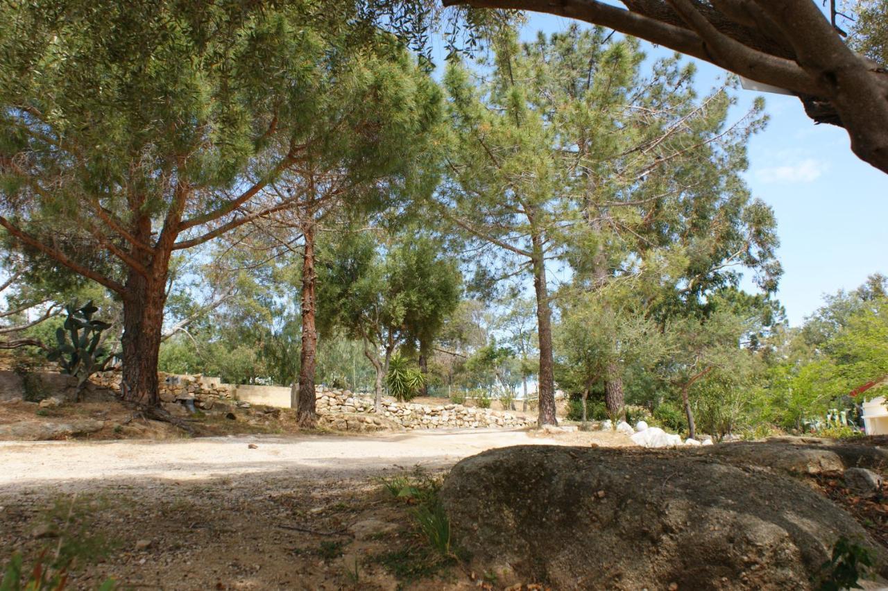 Belle Location Sur Lumio Avec Vue Remarquable Et Jardin Villa Exterior photo