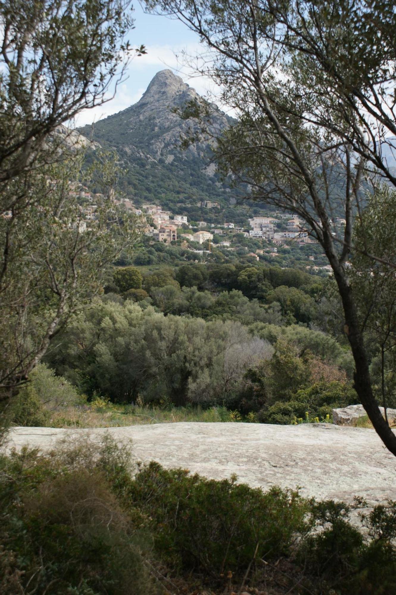 Belle Location Sur Lumio Avec Vue Remarquable Et Jardin Villa Exterior photo